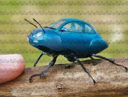 ������� ����