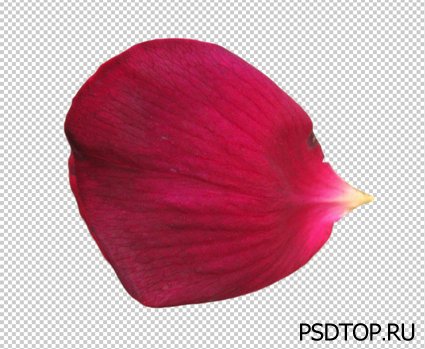 ��������� ����������� � �������