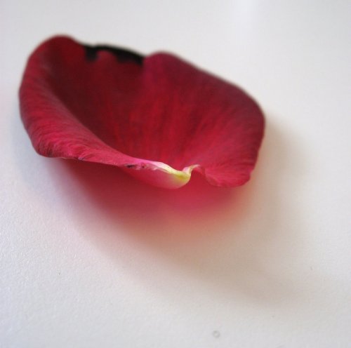 ��������� ����������� � �������